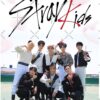 flat750x075f pad750x1000f8f8f8 14 - Stray Kids UK Merch