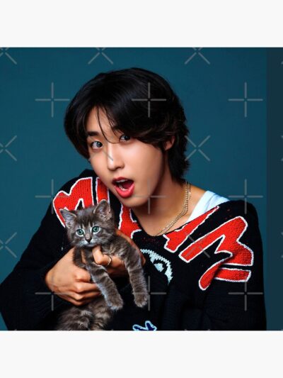 flat750x075f pad750x1000f8f8f8 25 - Stray Kids UK Merch