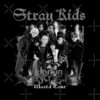 flat750x075f pad750x1000f8f8f8.u2 30 - Stray Kids UK Merch