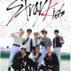 flat750x075f pad750x750f8f8f8 4 - Stray Kids UK Merch